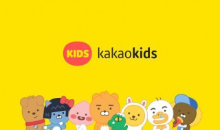 kakao输入手机号无法连接服务器（kakao为什么无法连接服务器）