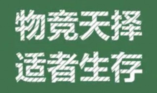 物竞天择适者生存是谁说的 物竞天择 适者生存谁说的