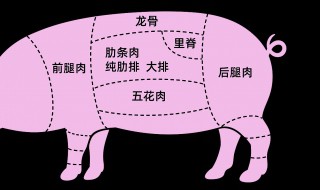 猪肉分割方法步骤 猪肉分割技巧和卖法