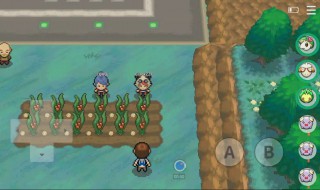 pokemmo树果种子怎么得 pokemmo树果种植攻略