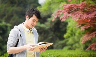 格列佛游记小人国概括 格列佛游记小人国概括500字