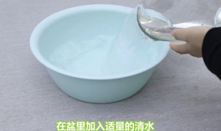 84消毒液漂白鞋子的使用方法 84漂白鞋子怎么用