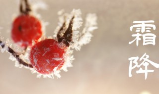 霜降节气的特点（霜降节气的特点收集民间谚语）