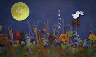 中秋节的诗句古诗大全（中秋节的诗句古诗大全三年级）