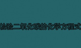 检验二氧化碳的化学方程式（制取和检验二氧化碳的化学方程式）