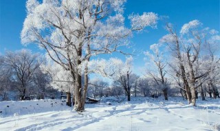 雪中送炭锦上添花哲理 雪中送炭与锦上添花的感慨句