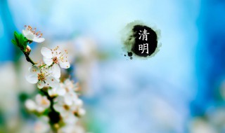 清明节有什么寓意（清明节有什么寓意和象征）