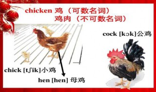 chicken可数吗 some chicken可数吗