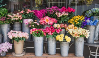 夏天花店鲜花保存方法 花店大量鲜花怎么保鲜能放进冰箱吗