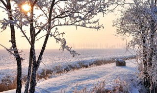 田野里白雪茫茫的诗句是什么（田野里白雪茫茫的诗句是什么意思）