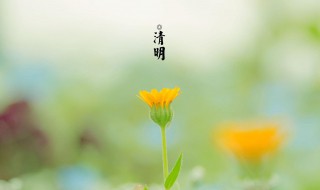 清明时节雨纷纷的纷纷什么意思 清明时节雨纷纷的纷纷什么意思?