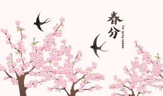 春分节气的特点是什么（春分节气的介绍）