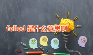 felled是什么意思啊（feeill什么意思）