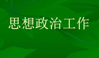 政治思想表现（政治思想表现情况怎么写）