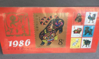 1986年是什么命（1986年是什么命金木水火土）