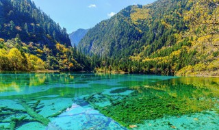 九寨沟什么季节去最好 九寨沟什么季节去最好看风景