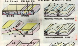 地质构造的基本类型有哪些 地质构造类型及其特征