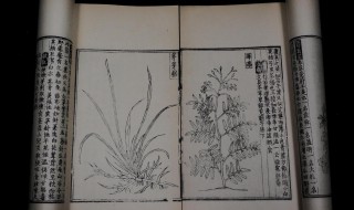 救荒本草是什么时期的著作（救荒本草是什么时期的著作啊）