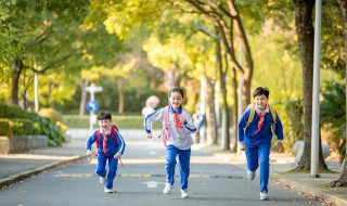 小学生走读生注意事项（小学生走读是什么意思啊）