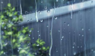 下雨天歌词 下雨天歌词南拳妈妈