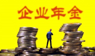 企业年金是什么（企业年金是什么时候可以提取）