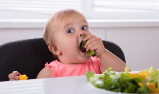 婴儿几个月能添辅食（婴儿几个月能添辅食了）