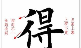 双人旁的字有哪些 双人旁的字有哪些字