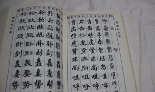 艹字旁的字有哪些（木字旁的字有哪些）