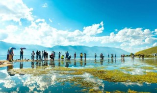 大理旅游攻略必去景点（大理旅游攻略必去景点路线规划）