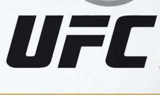 ufc是什么（ufc是什么简称）