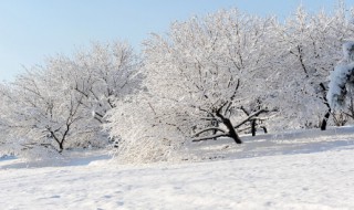 大雪节气吃什么 大雪节令应该吃什么