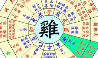 八字排盘怎么看（八字排盘怎么看是什么命）