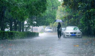 暴雨暴雨像什么 暴雨像什么写比喻句加排比句