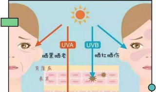 先用防晒还是先用隔离 先用防晒还是先用隔离?