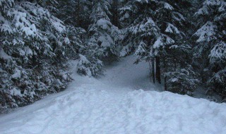 梦见下雪（梦见下雪是什么征兆 女性）