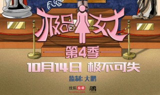 极品女士4电视剧剧情（极品女士第三季 电视剧）