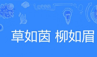 草如茵柳如眉仿写（草如茵柳如眉仿写类似的三字词语）