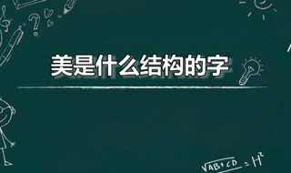 美是什么结构的字（美是什么结构的字第五笔是什么）