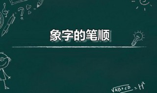 象字的笔顺（象字的笔顺演示）