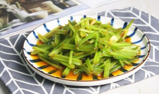 野芹菜怎么做好吃 野芹菜怎么做好吃包饺子视频