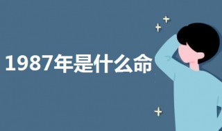 1987年是什么命（属蛇的1987年是什么命）