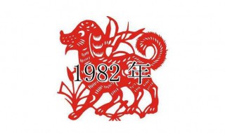 1982年是什么命（1982年属狗是什么命）