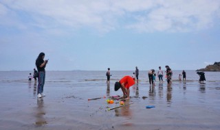 浙江海边哪里好玩（浙江海边哪里好玩又省钱）