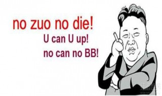 no zuo no die什么意思 no zuo no die的意思是什么