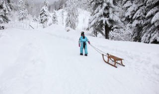 梦见雪地（梦见雪地上行走）