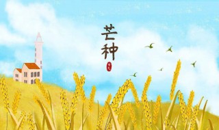 2021年芒种节气是农历几月（2o21年芒种节是几月几号）