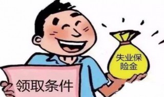 失业补助金与失业保险金的区别（失业补助金与失业保险金的区别?）