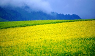 八月是什么季节 古代八月是什么季节