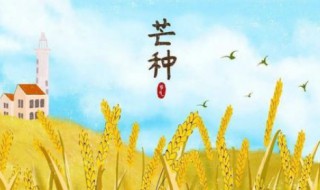 芒种节气的由来及气候特点（芒种节气的由来及气候特点是什么）