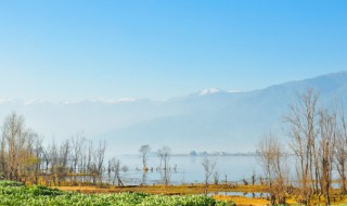 四川国家级湿地保护区有哪些 四川省属于国家级湿地的有哪些